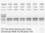 smART First Strand cDNA Synthesis kit 250 Reaktionen 
 
smART First Strand cDNA Synthesis Kit is...